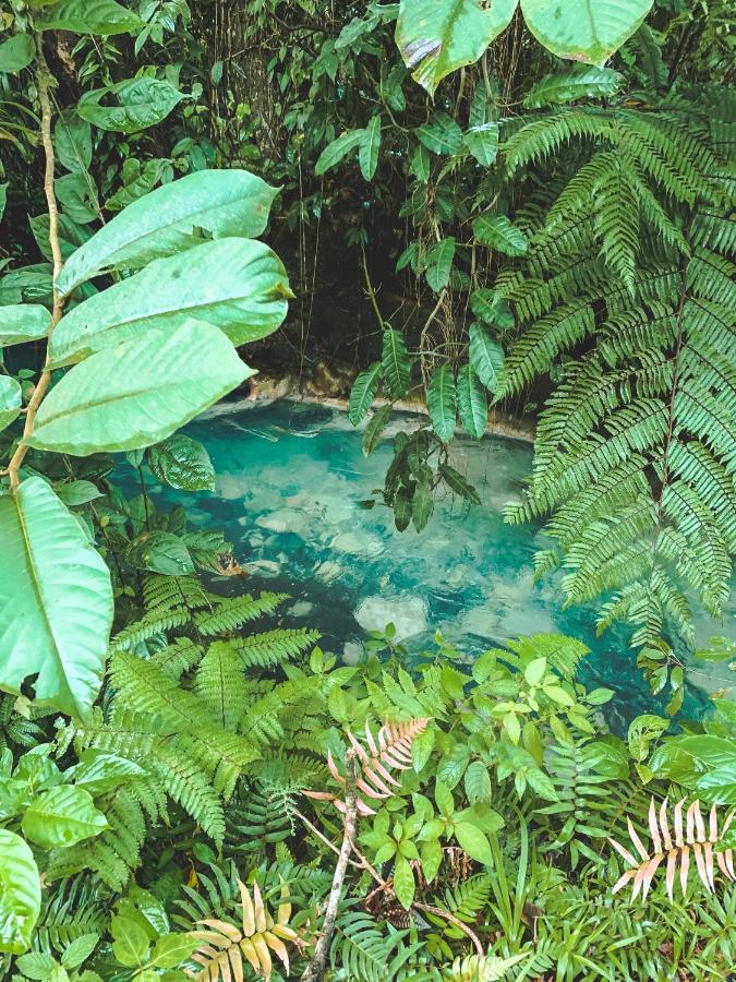 Bed & Breakfast Oski Lodge, Rain Forest Rincon De La Vieja 3*
