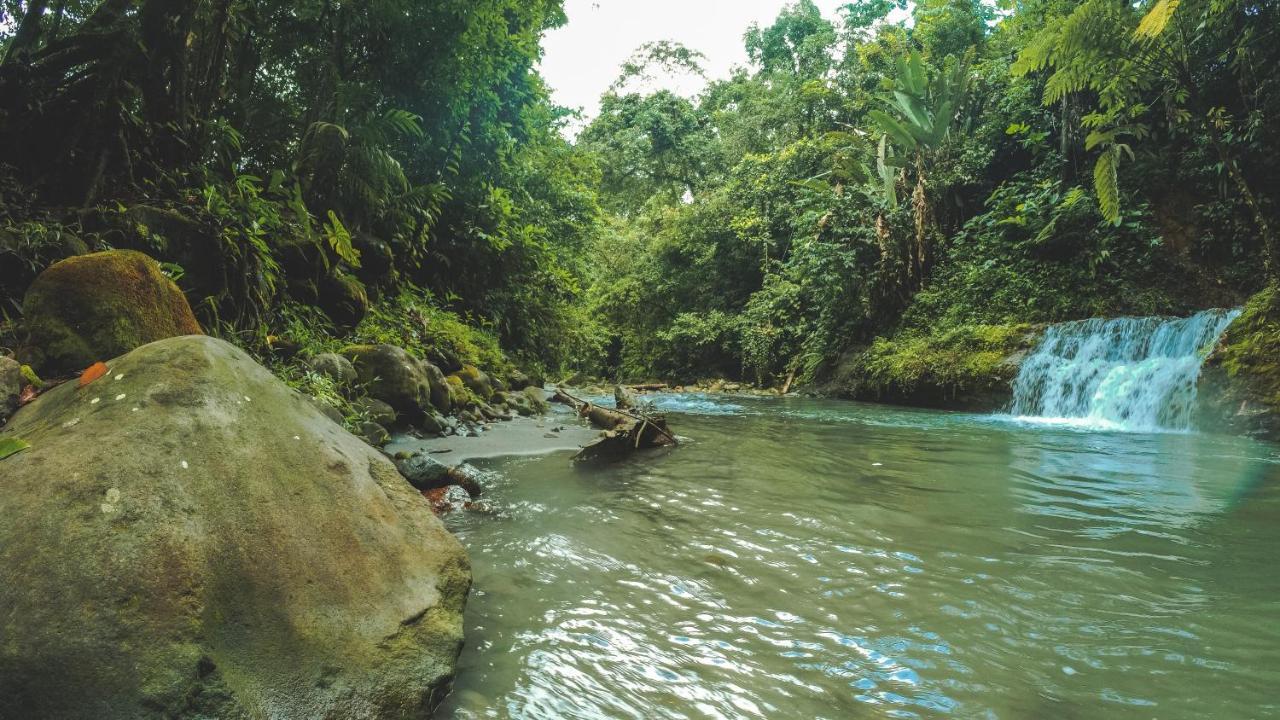 Oski Lodge, Rain Forest Rincon De La Vieja 3*