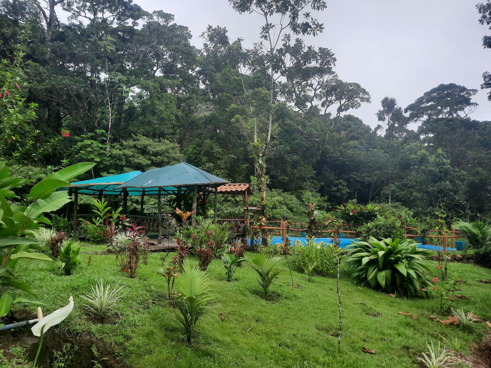 Oski Lodge, Rain Forest Rincon De La Vieja Bed & Breakfast