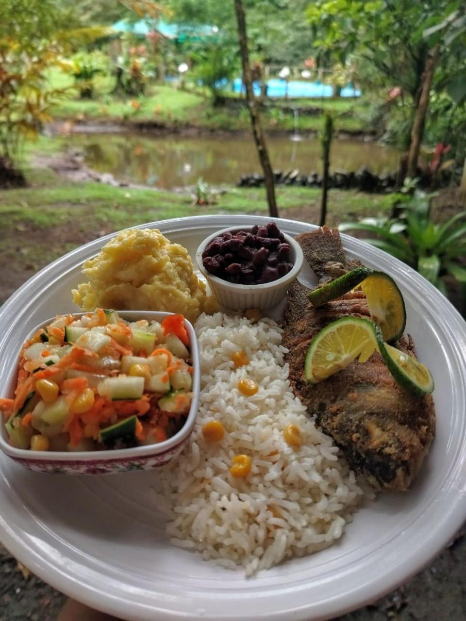 Oski Lodge, Rain Forest Rincon De La Vieja Upala